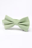 Light Green Men's Bow Tie For Party