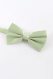 Light Green Men's Bow Tie For Party