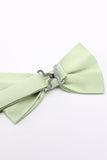 Light Green Men's Bow Tie For Party