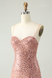 Sparkly Blush Spaghetti Straps Sequins A Line Short Prom Dress