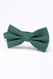 Light Green Men's Bow Tie For Party