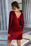 Burgundy V-Neck Velvet Short Party Dress