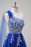 Royal Blue One Shoulder Applique Watteau Train Tulle Prom Dress