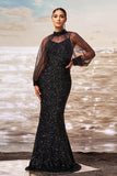 Sparkly Mermaid Black Sequin Long Sleeves Gala Dress