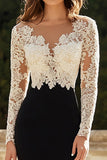 Black White V-Neck Sheath Mother of the Bride Dress with Lace Applique