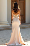 Champagne Spaghetti Straps Corset Applique Sheath Prom Dress