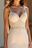 Champagne Spaghetti Straps Corset Applique Sheath Prom Dress