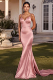 Elegant Spaghetti Straps Pink V-Neck Sheath Long Prom Dress