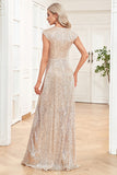 Sparkly A-Line Sleeveless Champagne Mother of the Bride Dress