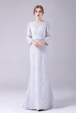 Silver Lace Sheath Long Sleeves Floor Length Mother of the Bride Dress