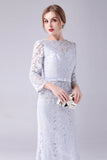 Silver Lace Sheath Long Sleeves Floor Length Mother of the Bride Dress