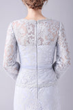 Silver Lace Sheath Long Sleeves Floor Length Mother of the Bride Dress