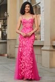 Mermaid Fuchsia Long Prom Dress with Appliques