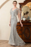Sparkly Grey Beading Mermaid Mother of Bride Dress