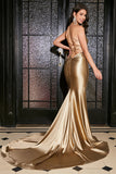 Mermaid Lace-Up Back Golden Long Prom Dress