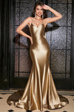 Mermaid Lace-Up Back Golden Long Prom Dress