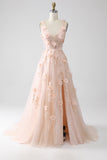 Blush A-Line Spaghetti Straps Long Prom Dress with Appliques